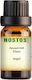 Nostos Pure Aromatic Oil Vanilla 500ml 1pcs 1131