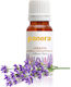 Lavender Spanish Aromatic Oil 100 Ml