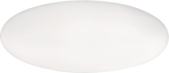 Fine Servierplatte Oval aus Porzellan Weiß 43x19cm 2Stück Fine Servierplatte Oval aus Porzellan Weiß 43x19cm 2Stück