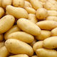 NitroFarm Seeds 5.0kg