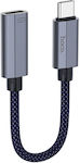 Converter USB-C male to Lightning male Blue