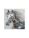 Fylliana Horse Картина Платнен 100x100см
