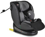 Cangaroo Castor Καθισματάκι Αυτοκινήτου i-Size 0-36 kg με Isofix Grey