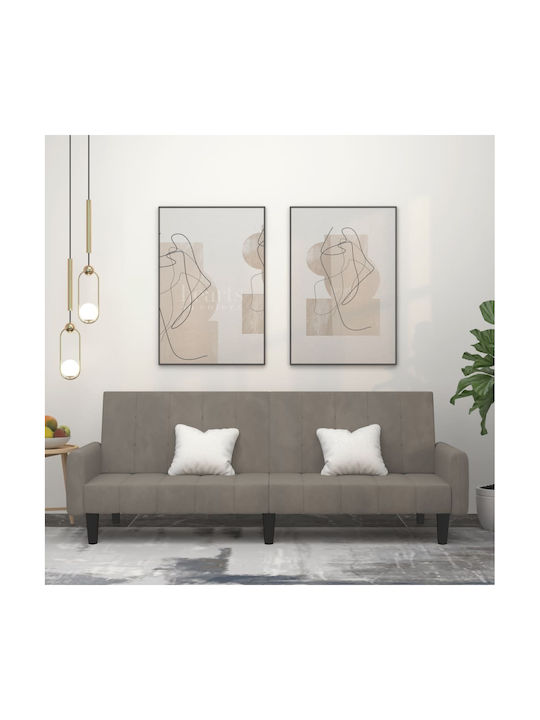Two-Seater Velvet Couch Bed Light Grey 220x100x...