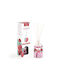 Prady Micado Αρωματικό Χώρου Με Sticks 100ml Βατόμουρο 08779