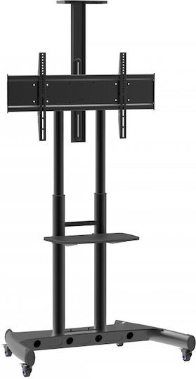 Blackmount BM-T104 TV Mount Floor up to 100" and 80kg Black