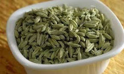 HealthTrade Fennel 500gr