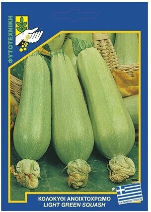 Geniki Fytotechniki Athinon Samen Kürbisς Zucchini Hellfarben