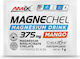 Amix MagneChel Magnesium Drink 7gr Mango