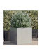 vidaXL Ασημί Planter Box 49x47cm Silver