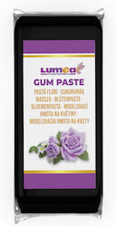 Lumea Glazură Fondant 1000gr Neagră