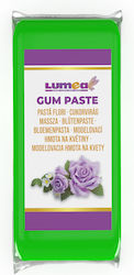 Lumea Glasuri Fondant 1000gr Verde