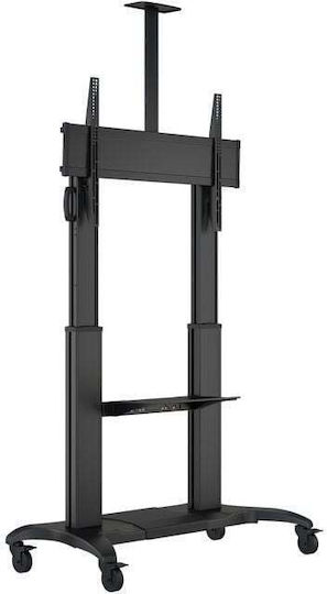 Multibrackets M Public Floorstand Dual Pillar 180 HD Suport TV pardoseală până la 100" și 90kg Negru