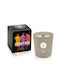 Naughty Dogs Soy Candle Mastique 250ml.