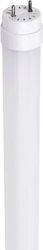 Aca LED Bulb 22W Fluorescent Type 150εκ. for So...