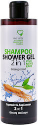 Shampoo +& Duschgel Männer 2in1 250ml