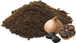 Garlic Black Powder Spain 20 Gr