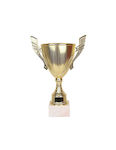 Tryumf Gold Trophy Sports