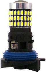 Lămpi LED 5500K Alb rece 10-30V