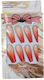 Set 12 False Nail Tip Multicolour