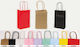 Twisted Handle Bag for Gift Blue 13x8x21cm. 12pcs