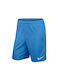 Nike Νικε Y Park Ii Knit Short Wb 725989-412