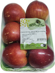 Μήλα Gala Βιολογικά Ελληνικά (ελάχιστο βάρος 1.3Kg)