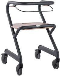Wheel Περιπατητήρας Wheel Περιπατητήρας