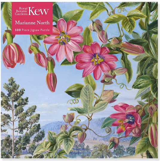 Puzzle 500 tlg. Flamme Baum Nord-Ansicht Im Botanischen Garten von Brisbane