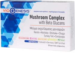 Viogenesis Mushroom Complex cu Beta Glucani 30 capsule pe bază de plante Viogenesis Mushroom Complex cu Beta Glucani 30 capsule pe bază de plante