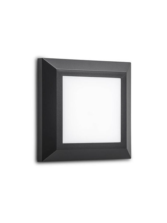 Aca Waterproof Wall-Mounted Outdoor Light IP65 with Integrated LED