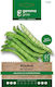 Gemma Seeds Broad Beans 25.0kg