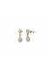 Metallic Silver Earrings with White Strass Earrings