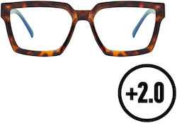 Reading Glasses +2.00 in Brown color W01004-003-2