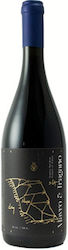 Oinopoiia Koutsodimou Rotes Trocken 750ml