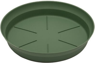 Micplast Чиния Пот Cypress 15x15бр 11.02.01.44
