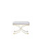 Stool For Living Room Metallic Y 65x48x44cm