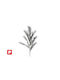 Pampas negru cu led 90cm.