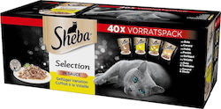 Sheba Selection Select Slices Hrană umedă pentru Pisică Bătrână cu Păsări de curte Fără Gluten 40x85gr