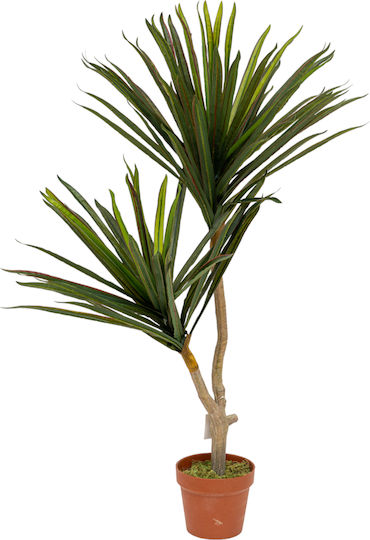 Γιούκα σε Γλάστρα 110cm Zen Collection