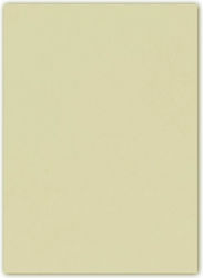 Canson-Karton Everball Papers 50x70cm. Beige