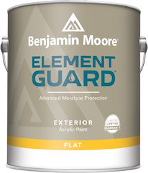 Benjamin Moore Пластмасов Боя за Външен Употреба Element Guard Flat 3.78лт