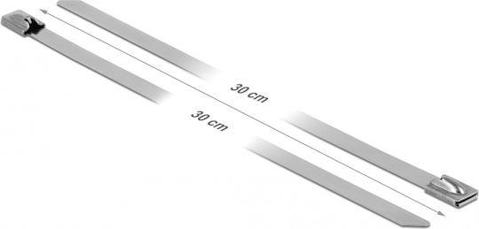 DeLock DeLock Metallic Cable Ties 300mm x 7.9mm in Silver Colour (10 pcs) 18772