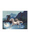Diamant Accesorii de Cusut 60x45cm.