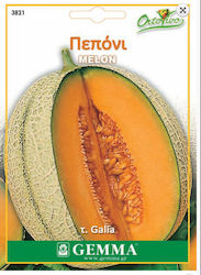 Gemma Seeds Melon 1.5gr