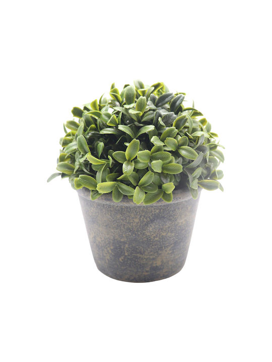 Изкуствено растение в саксийка Buxus (Обща кутия) Beige 15.3см Ankor