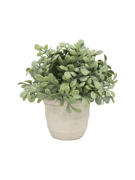 Изкуствено растение в саксийка Buxus (Обща кутия) Green 15.3см Ankor