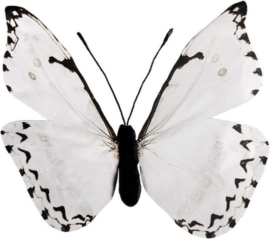Easter Butterfly Paper 25x25pcs in White color