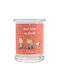 Peanuts Snoopy and Woodstock Ароматна Свещ Best Sister On Earth Буркан Кафяв 250гр 1бр
