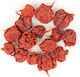 Carolina Reaper Chilis Ganzer mexikanischer Chili 10 Gr
